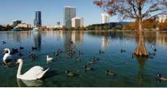 Wo in Orlando zu bleiben - 25 besten Hotels und Gasthöfe (Florida)