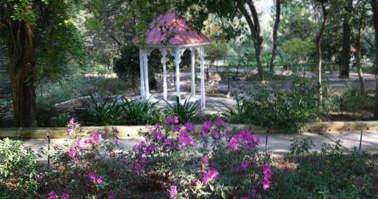 Botanischer Garten Zilker In Austin Texas Sehenswurdigkeiten