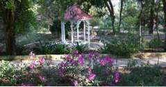 Botanischer Garten Zilker in Austin, Texas (Sehenswürdigkeiten)