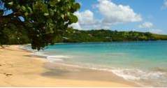 Bequia Beach Hotel i Grenadinene (caribbean)