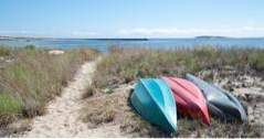 Cape Cod Kayak (massachusetts)