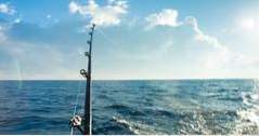 Destin, Florida Fishing Charters (florida)