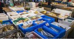 Japan Dingen om te doen Tsukiji Fish Market (Azië)