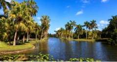 Miami Hochzeiten Fairchild Tropical Botanic Gardens (Hochzeitsorte in meiner Nähe)