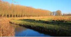 Nederländska platser att besöka De Biesbosch National Park (äventyr)