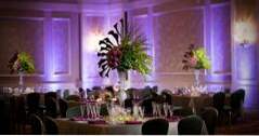 Orlando Wedding Venues Waldorf Astoria Orlando (trouwlocaties bij mij in de buurt)