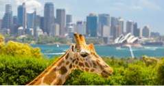 Sydney, Australië Dingen om te doen Taronga Zoo (vakantie ideeën)