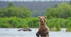 Saker att göra i Alaska Lake Clark National Park and Preserve (äventyr)